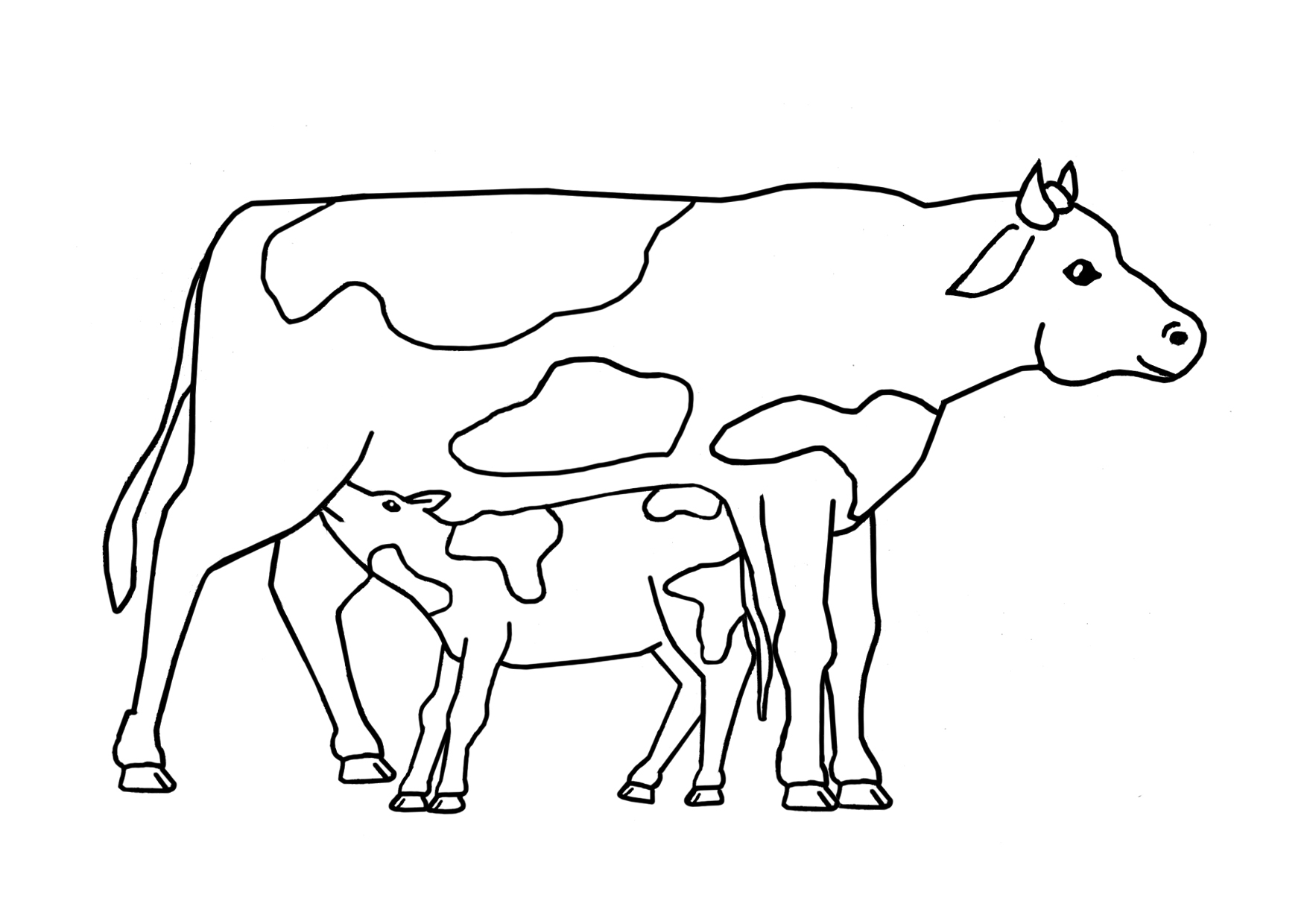 Ausmalbild Kuh und Kalb